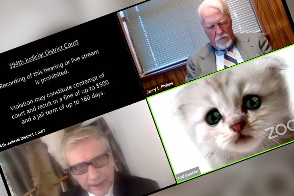 Zoom-Gerichtsverhandlung mit einem Katzenfilter über dem Gesicht von Rod Ponton
